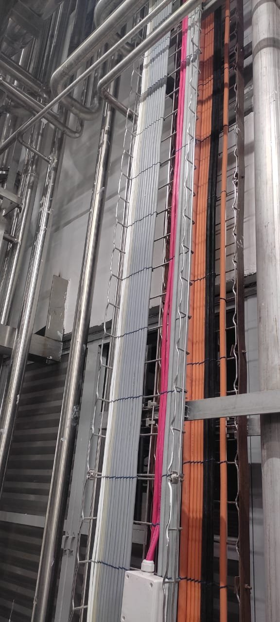 WhatsApp Image 2025-07-14 at 10.13.45_edb6b386