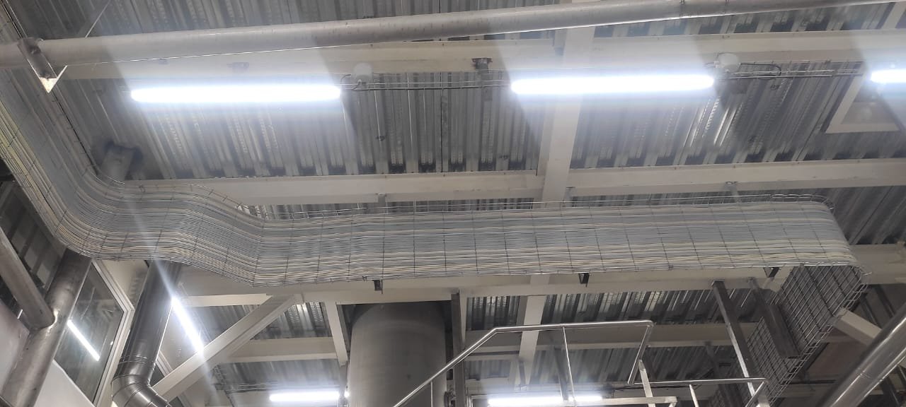 WhatsApp Image 2025-07-14 at 10.13.46_b91af24a