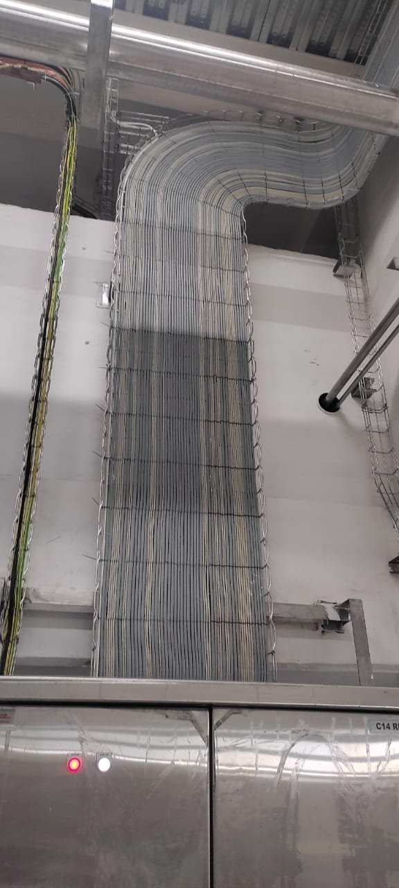 WhatsApp Image 2025-07-14 at 10.13.46_e7475f2a