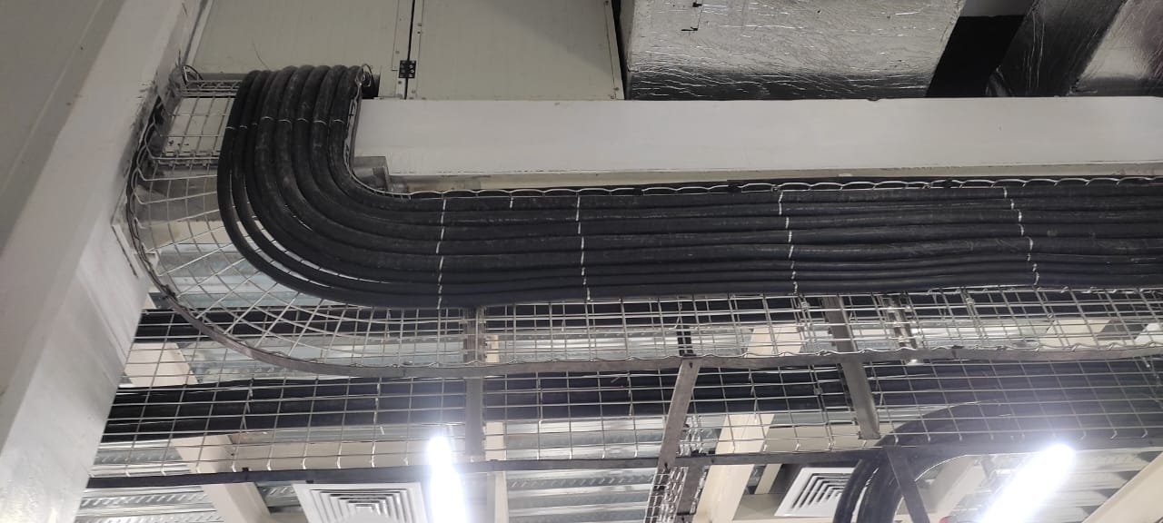 WhatsApp Image 2025-07-14 at 10.13.49_0f3e78fe